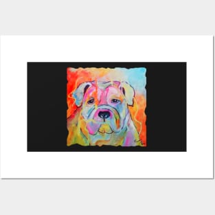 Bulldog in bright colours Posters and Art